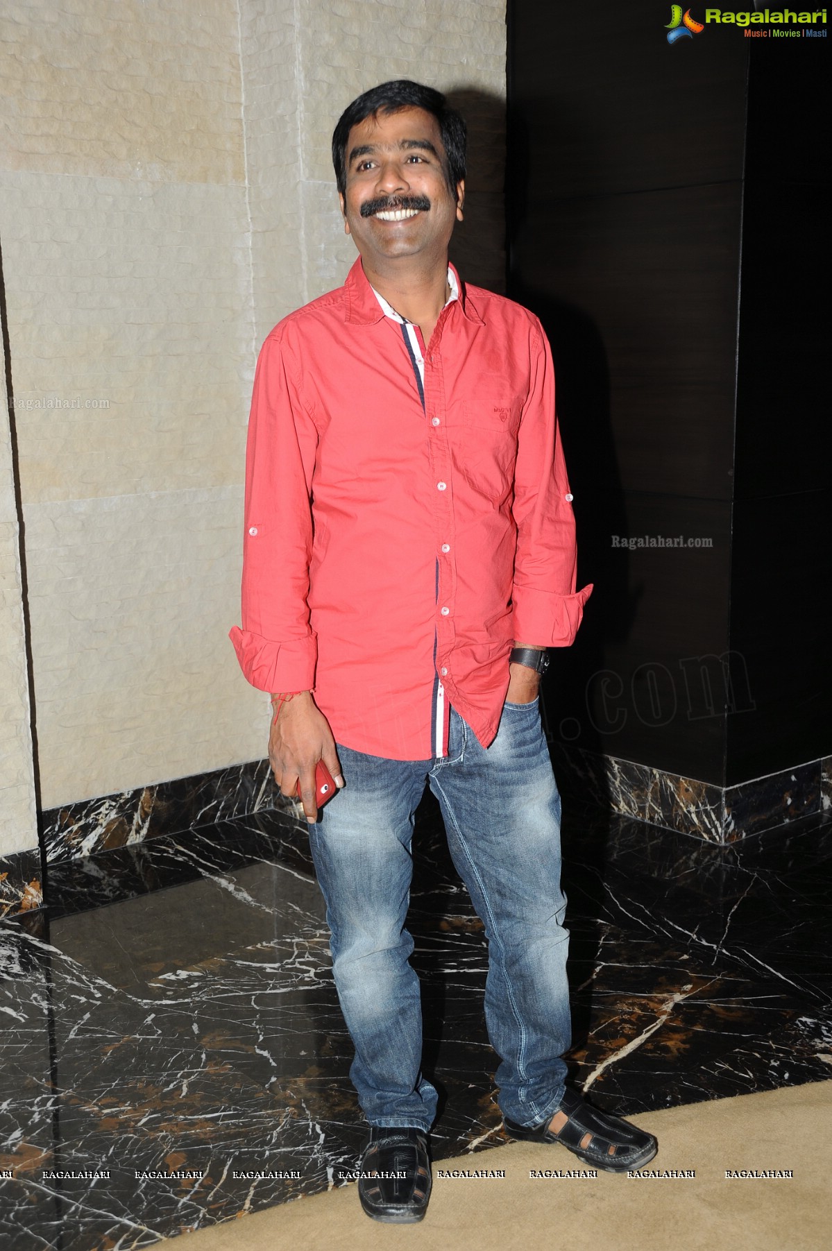 Celebs at SIIMA 2013 Pre-Party