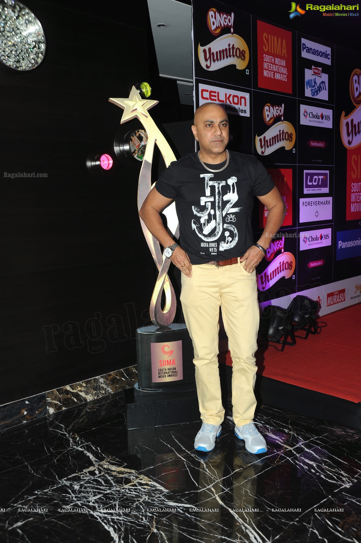 Celebs at SIIMA 2013 Pre-Party