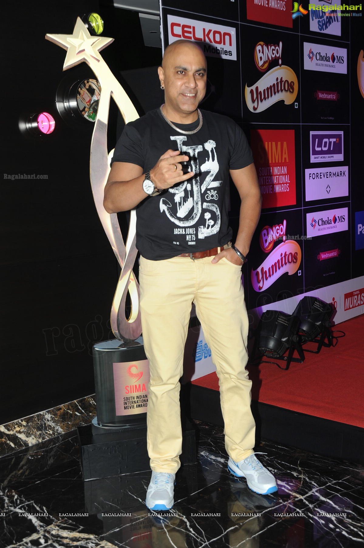 Celebs at SIIMA 2013 Pre-Party