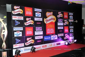 SIIMA 2013 Pre-Dinner Party