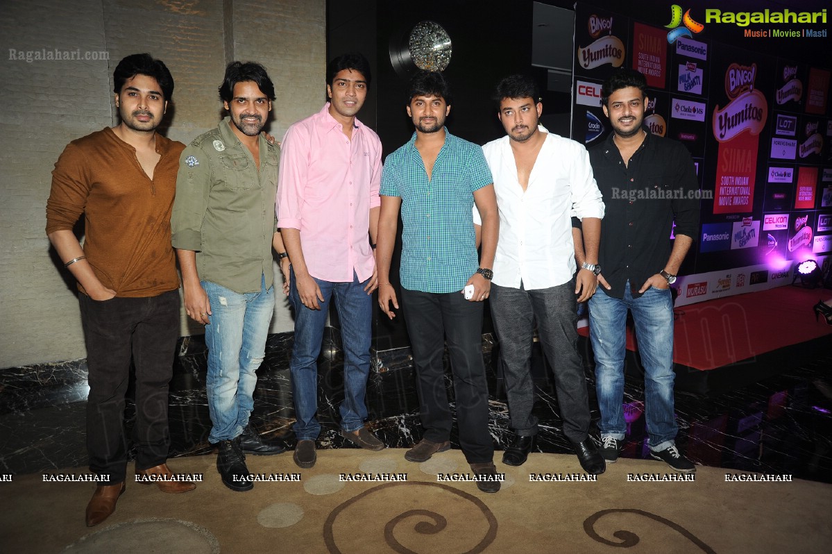 Celebs at SIIMA 2013 Pre-Party