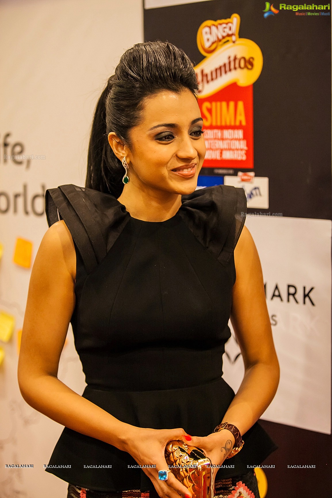 SIIMA 2013 (Day 1)