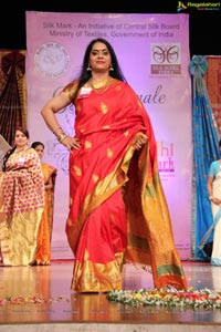 Srimathi Silk Mark Hyderabad 2013 Beauty Contest