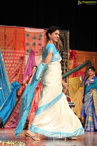 Srimathi Silk Mark Hyderabad 2013 Beauty Contest