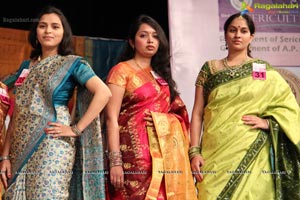 Srimathi Silk Mark Hyderabad 2013 Beauty Contest