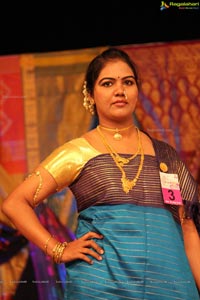 Srimathi Silk Mark Hyderabad 2013 Beauty Contest