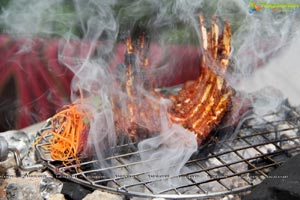 Taj Krishna Kebabs of India