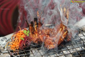 Taj Krishna Kebabs of India