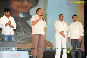 Rowdy Fellow Audio Release