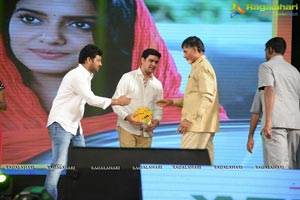 Rowdy Fellow Audio Release