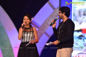 Loukyam Music Launch