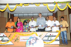 Nirnayam Audio Release