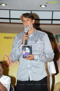 Nirnayam Audio Release