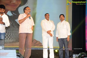 Rowdy Fellow Audio Release