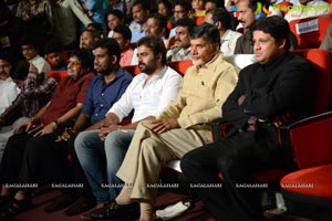 Rowdy Fellow Audio Release