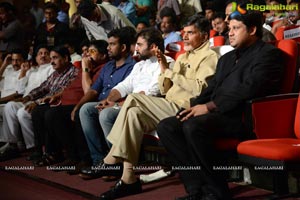 Rowdy Fellow Audio Release