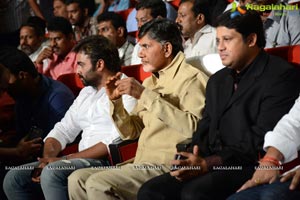 Rowdy Fellow Audio Release