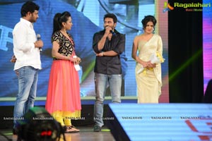 Rowdy Fellow Audio Release