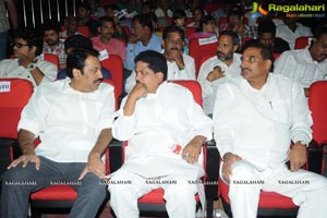 Rowdy Fellow Audio Release