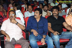 Rowdy Fellow Audio Release