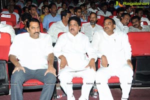 Rowdy Fellow Audio Release