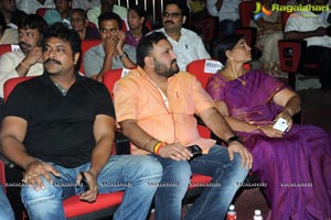 Rowdy Fellow Audio Release