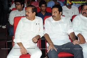 Rowdy Fellow Audio Release