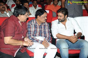 Rowdy Fellow Audio Release