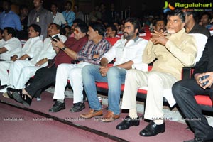 Rowdy Fellow Audio Release