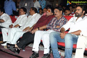 Rowdy Fellow Audio Release