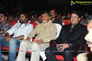 Rowdy Fellow Audio Release