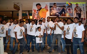 Aagadu Premiere