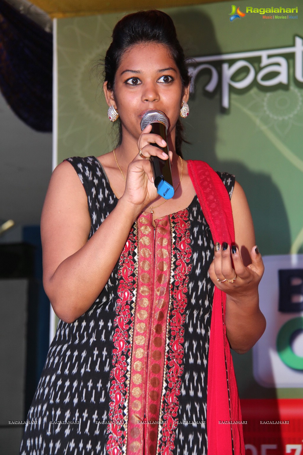 92.7 BIG FM's BIG Green Ganesha 2014, Hyderabad