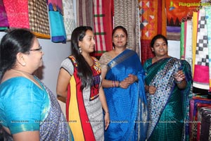 Dasara Vastra Vibha Exhibition