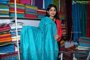 Hastashilpi Silk India Expo