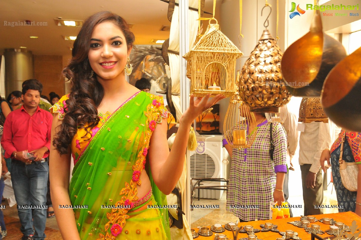 Hi Life Luxury Expo 2014, Hyderabad