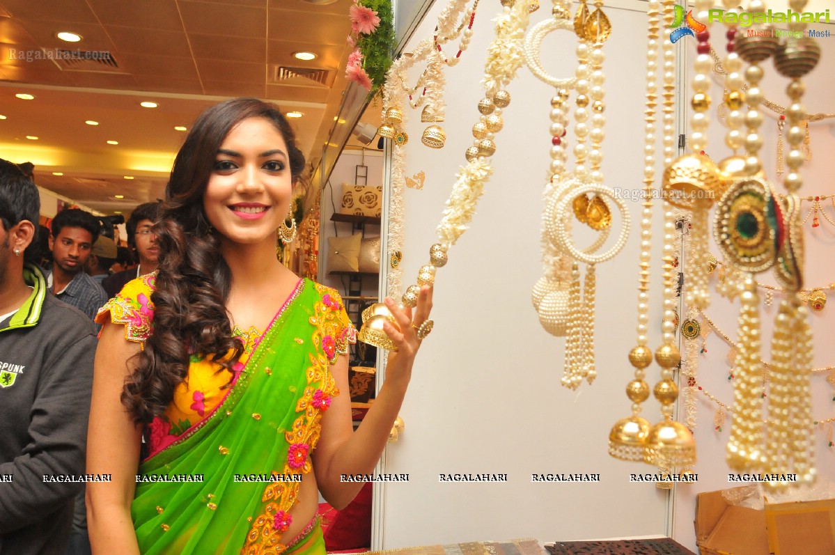 Hi Life Luxury Expo 2014, Hyderabad