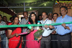 Lepakshi Crafts Festival