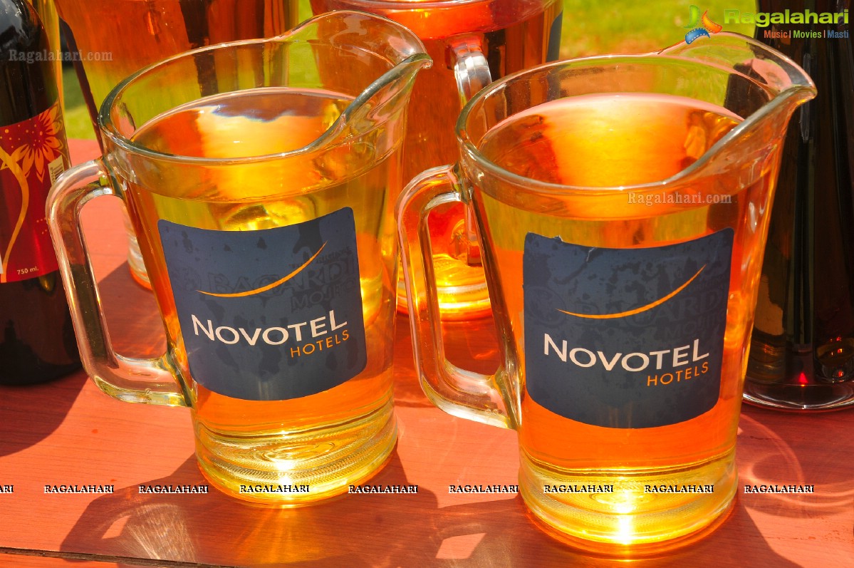 Novatel Fruit Mixing Brunch