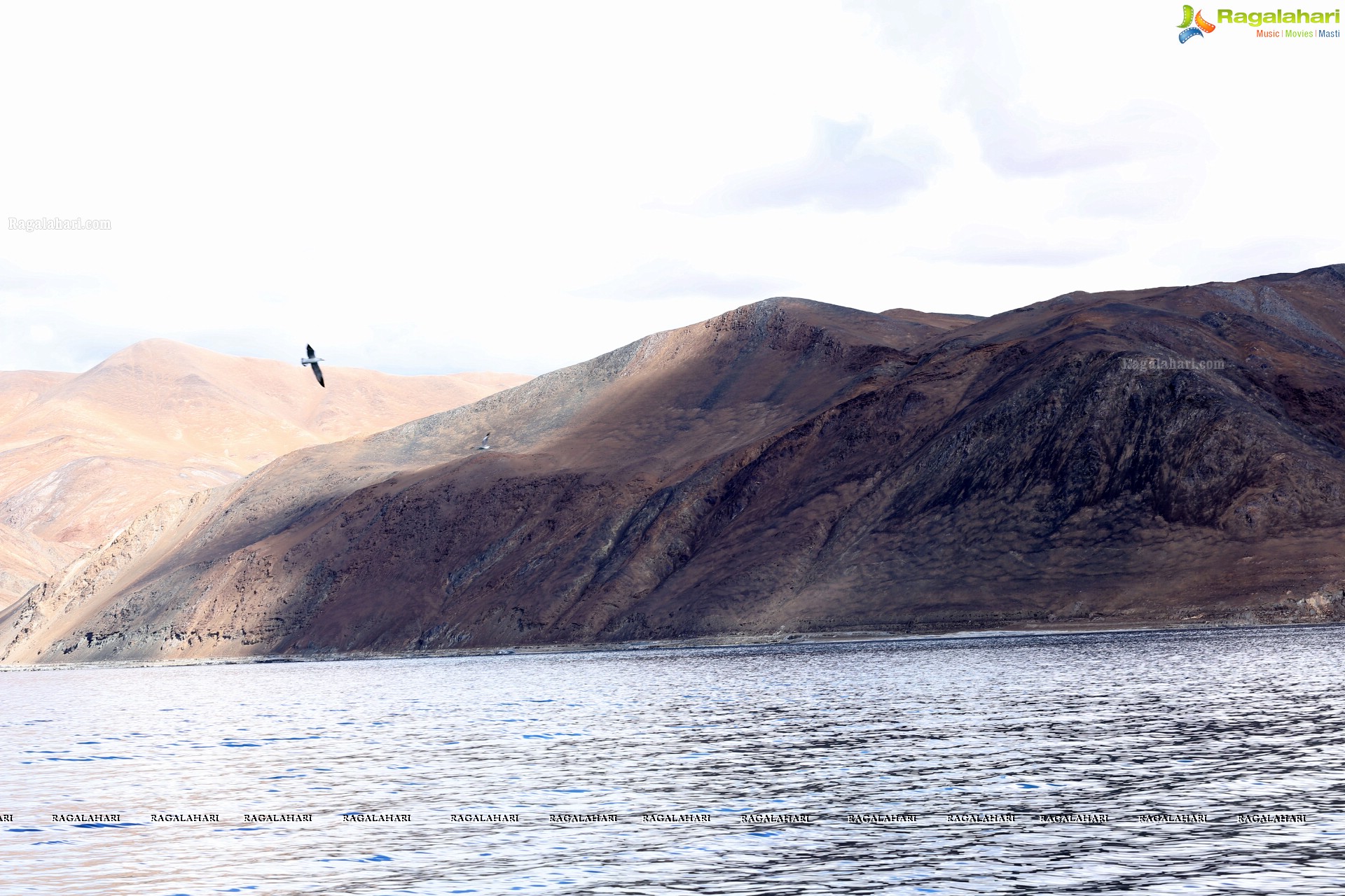 Pangong Tso Lake, Ladakh High Definition Photos