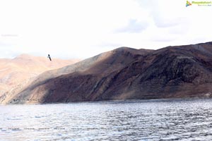 Pangong Tso Lake High Definition Images