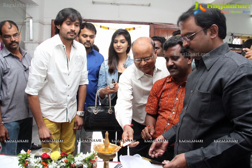 Sri Nilayam Movie Team inaugurated Pochampally IKAT Art Mela (Sept. 2014)