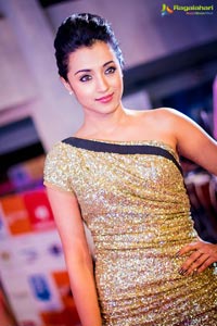 SIIMA Malaysia Photos