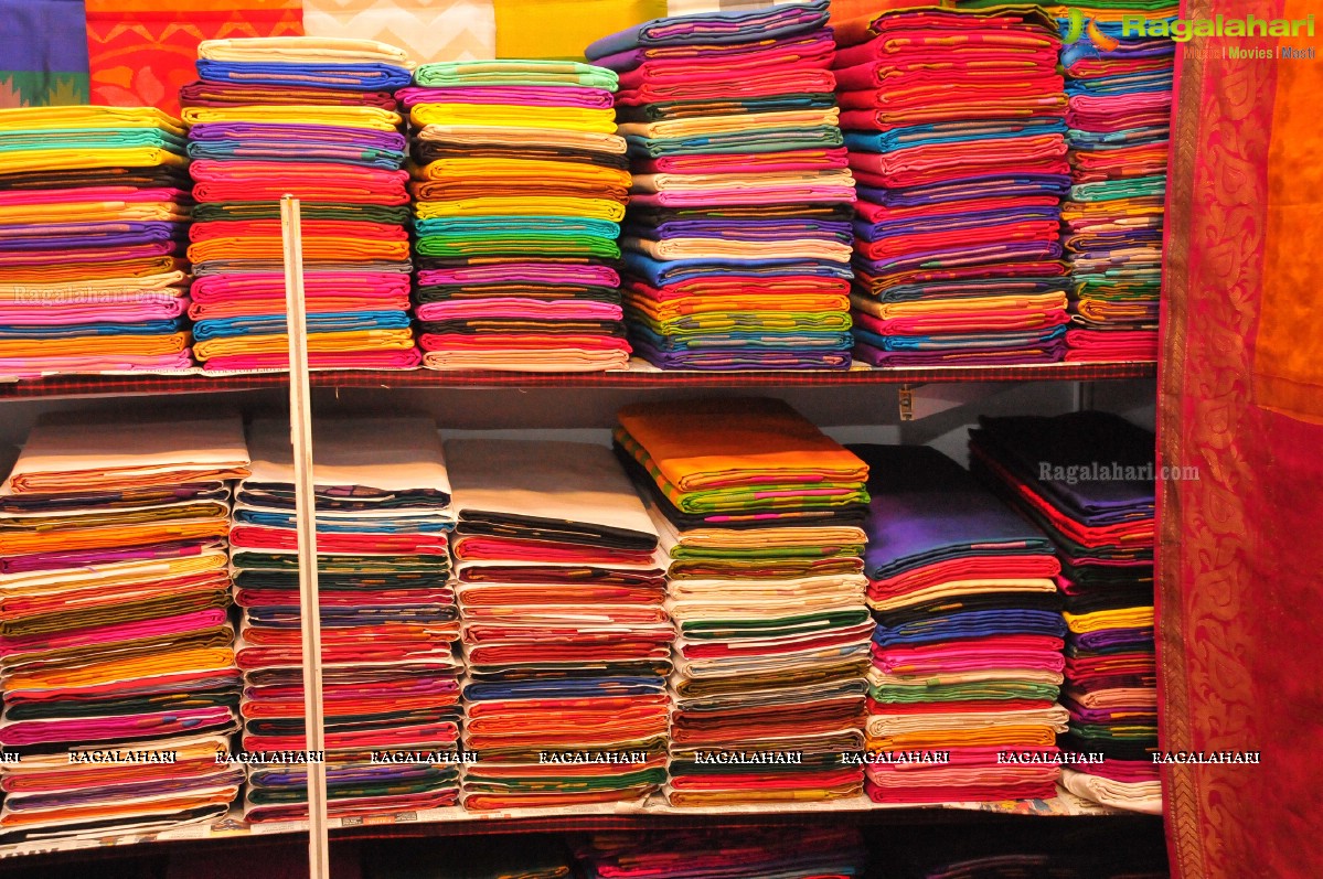 Silk Mark Expo at Shilpakala Vedika, Hyderabad (Sept. 2014)