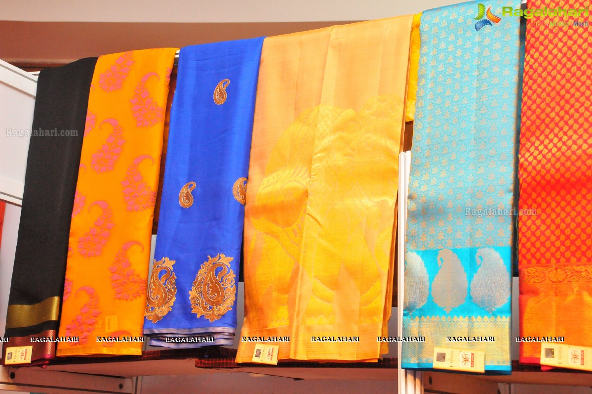 Silk Mark Expo at Shilpakala Vedika, Hyderabad (Sept. 2014)