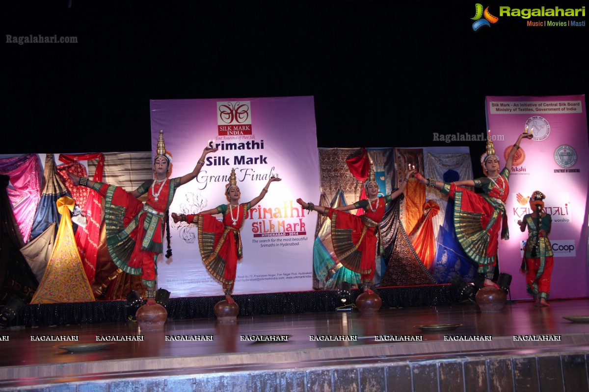 Srimathi Silk Mark 2014 Grand Finale, Hyderabad