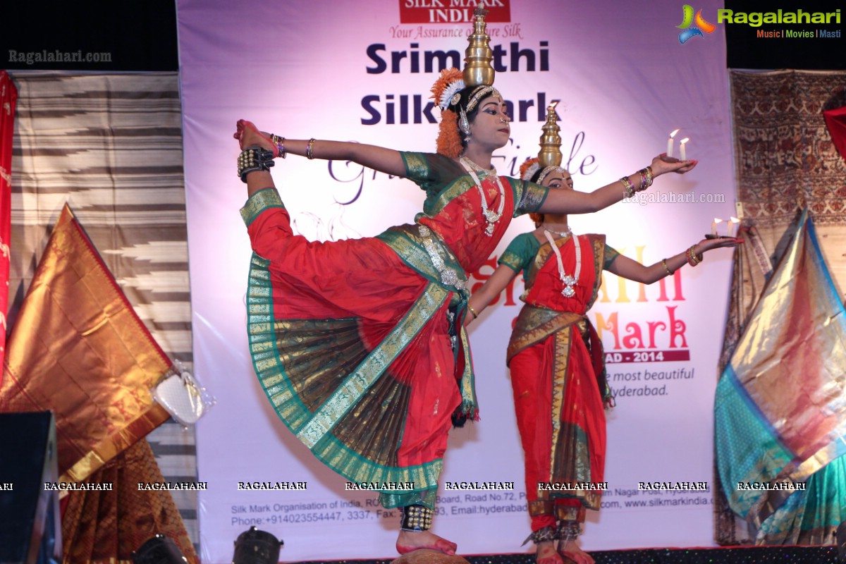 Srimathi Silk Mark 2014 Grand Finale, Hyderabad