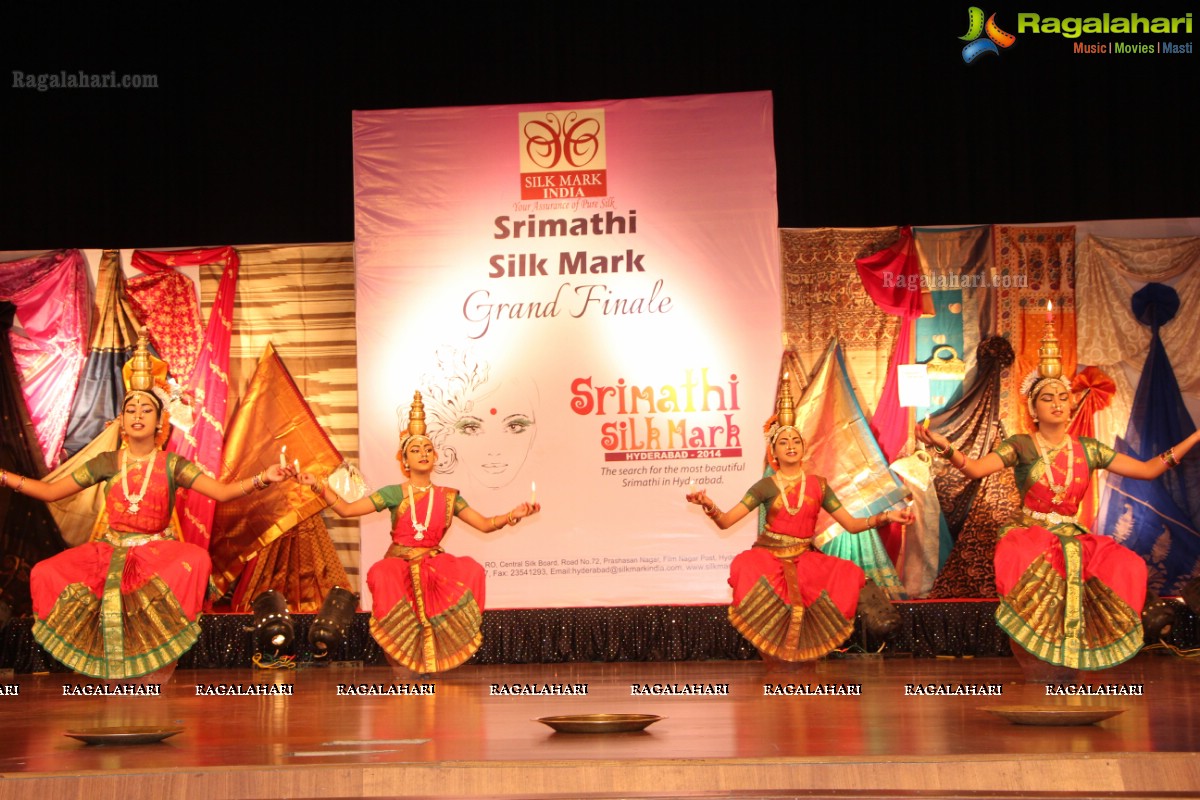 Srimathi Silk Mark 2014 Grand Finale, Hyderabad