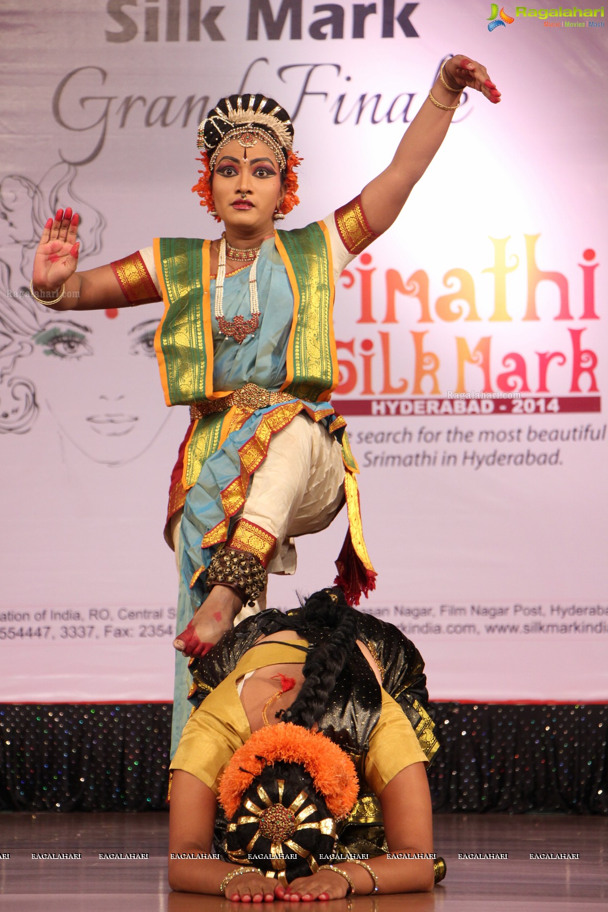 Srimathi Silk Mark 2014 Grand Finale, Hyderabad