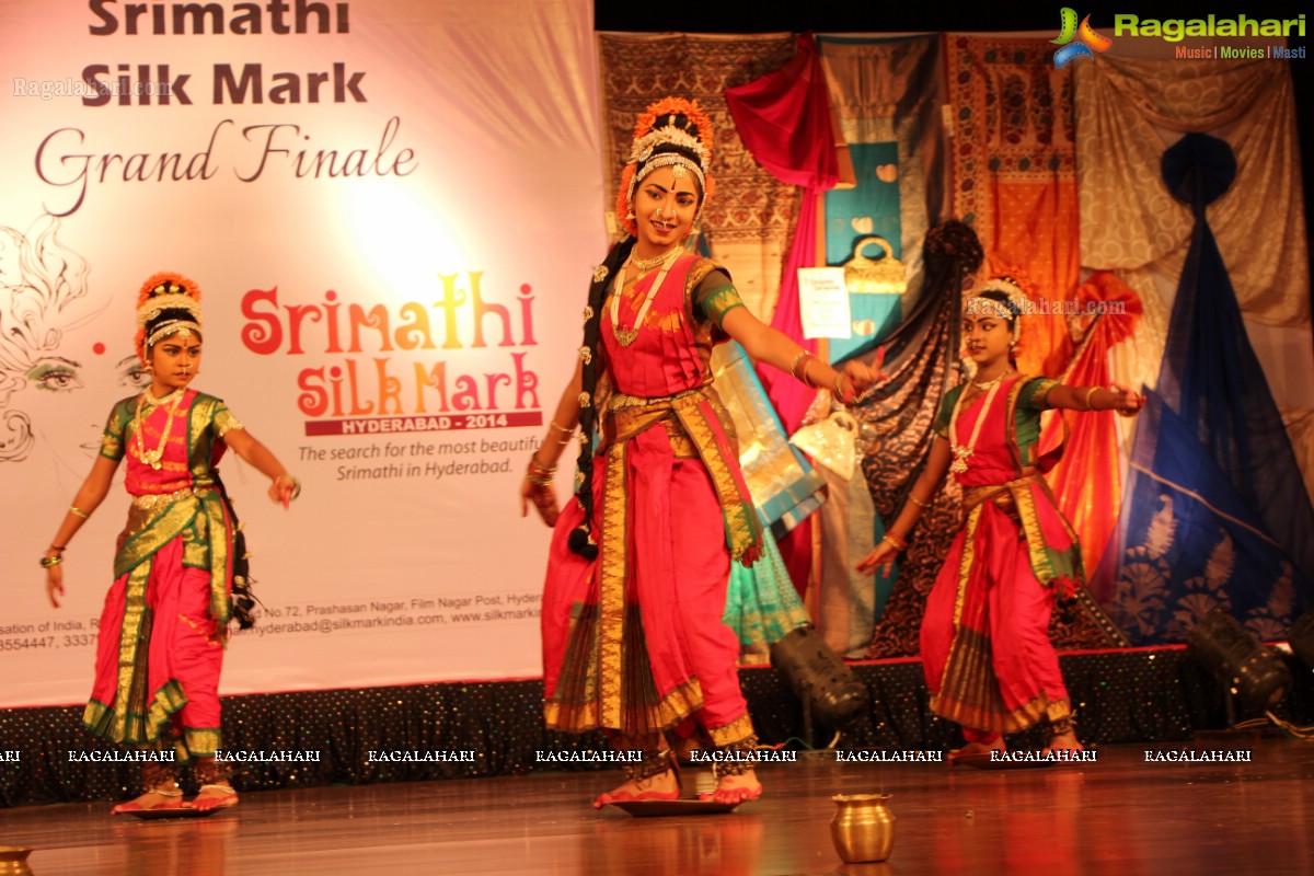 Srimathi Silk Mark 2014 Grand Finale, Hyderabad